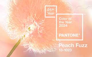 Советы по выбору дополнительных цветов и сочетанию с основным цветом 2024 года